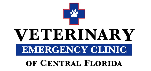 Veterinary Emergency Clinic-image